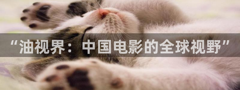老湿影院免费3分钟：“油视界：中国电影的全球视野”