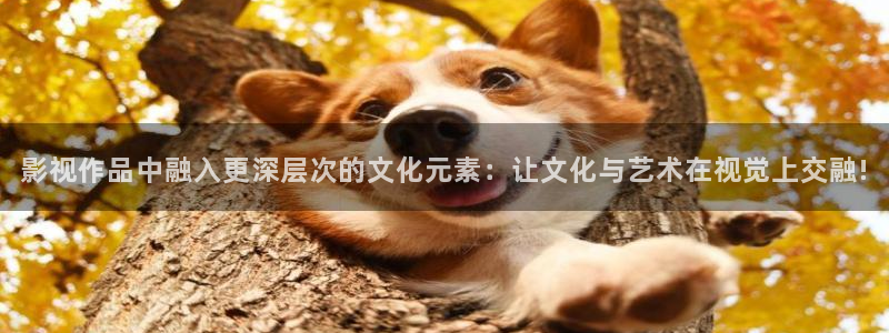 老湿影院免费观看一分钟：影视作品中融入更深层次的文化元素：让文化与艺术在视觉上交融!