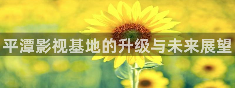老湿机影院免费看：平潭影视基地的升级与未来展望
