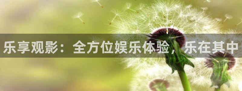 老湿影院免费3分钟：乐享观影：全方位娱乐体验，乐在其中