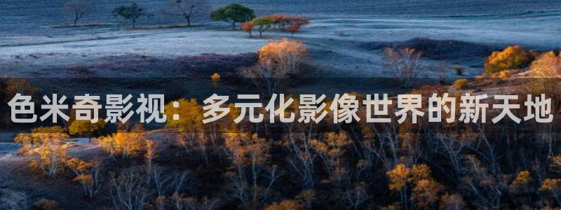 老湿影院首页：色米奇影视：多元化影像世界的新天地