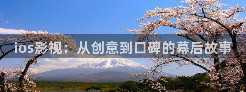 老湿机网站：ios影视：从创意到口碑的幕后故事